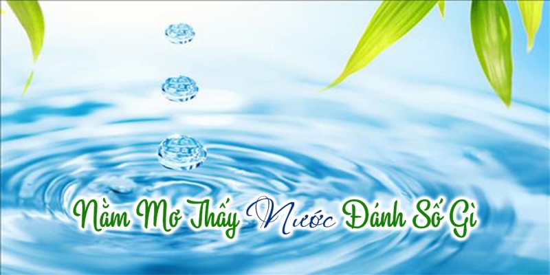 Mơ thấy nước liên quan đến những con số nào trong lô đề